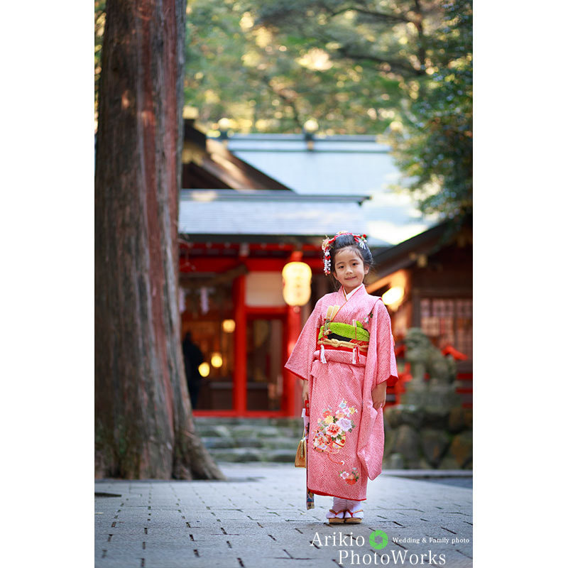 椿大神社七五三出張撮影